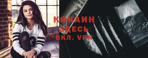 твердый Алексин
