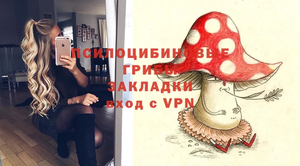 дмт Алексеевка